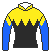 ママコチャ号の馬主、金子真人ホールディングスの勝負服