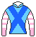 ウォーターリヒト号の馬主、山岡正人の勝負服