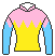 ハヤブサナンデクン号の馬主、武田修の勝負服