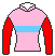 ペイシャエス号の馬主、北所直人の勝負服