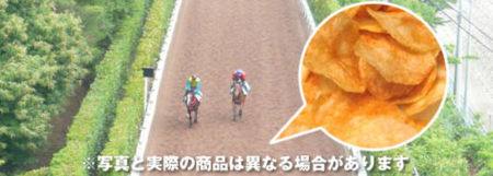 新しい馬場素材の写真